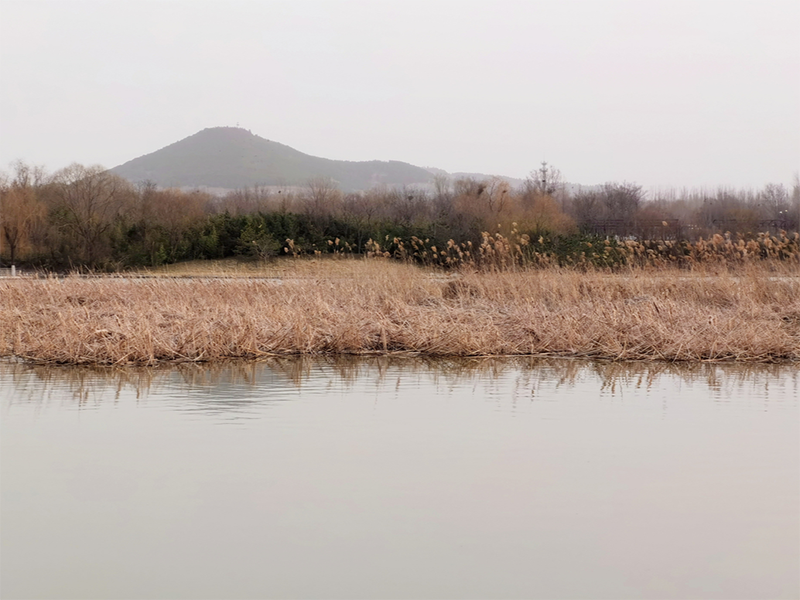 水質(zhì)氨氮檢測的國標(biāo)