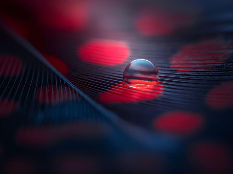 如何選擇合適的水質(zhì)檢測儀