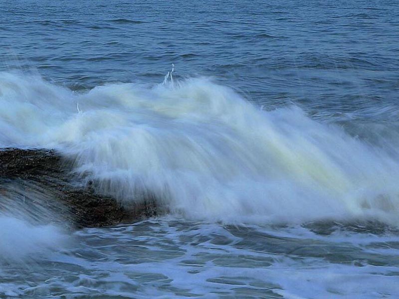 水中微生物檢測儀的測定原理