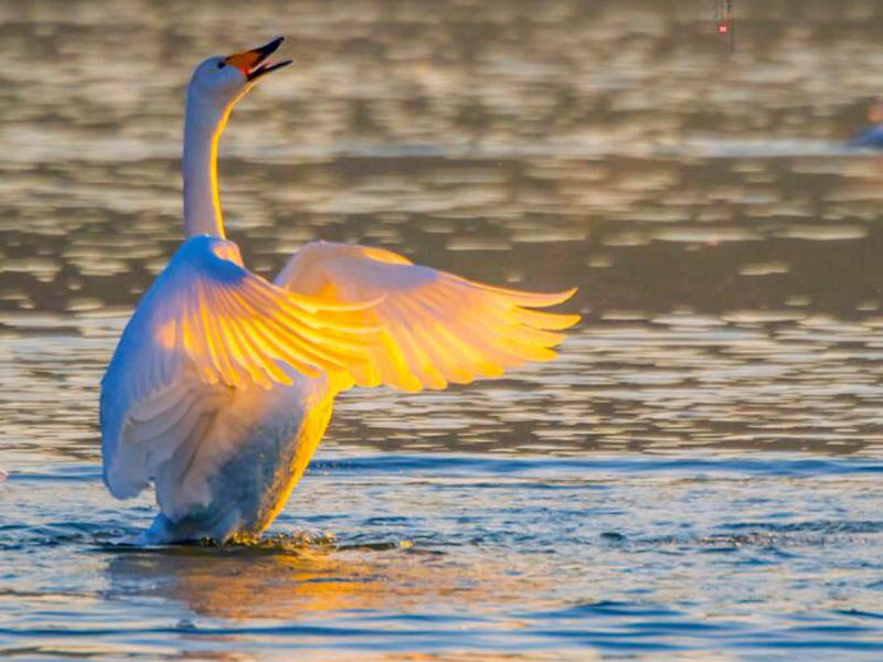 COD氨氮總磷總氮測定儀常見故障