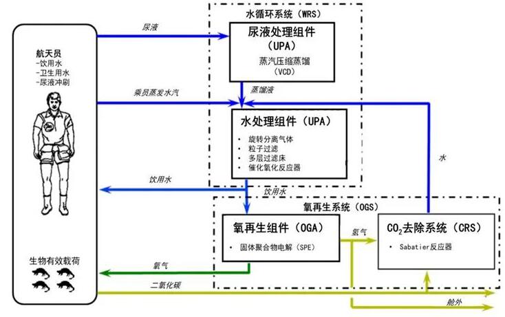 揭秘《流浪地球2》中宇航員在太空中的飲水從哪兒來