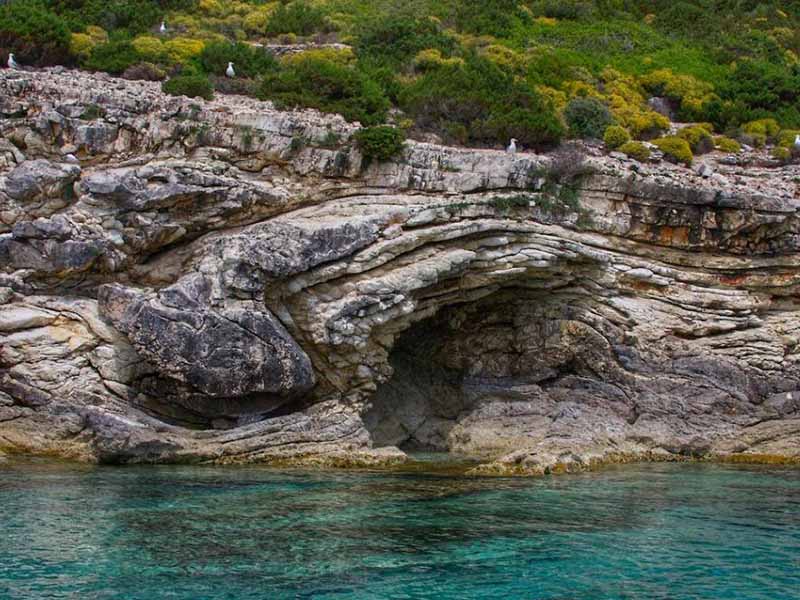 總有機碳分析儀測定原理