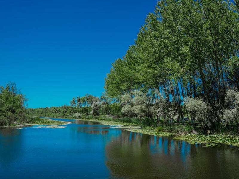 水質(zhì)氰化物測(cè)定儀依據(jù)標(biāo)準(zhǔn)