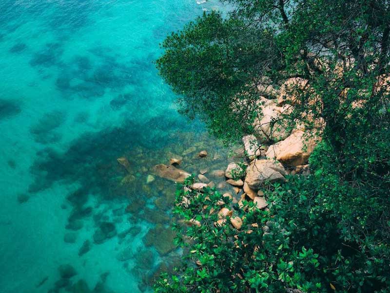 地表水環(huán)境質(zhì)量總氮為什么不參與評價