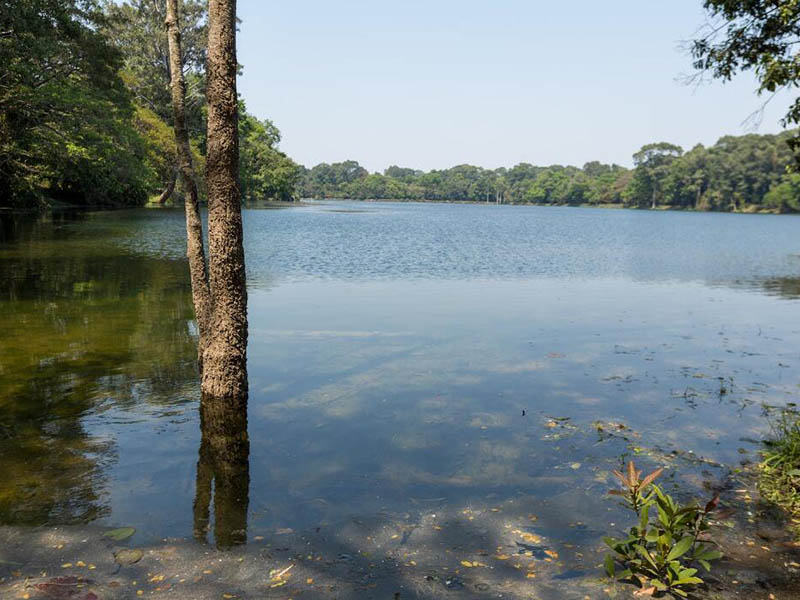 溶解氧檢測儀測定原理及其優(yōu)缺點