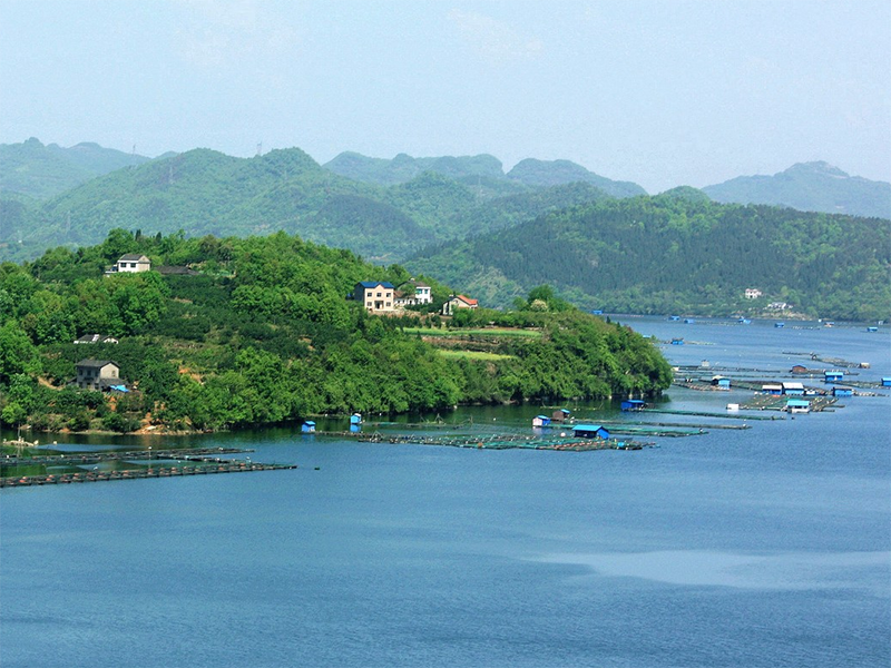 COD在線監(jiān)測儀試劑更換周期