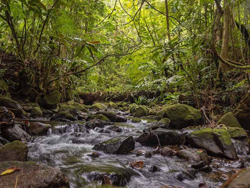 水質檢測實驗室廢液應該如何處理