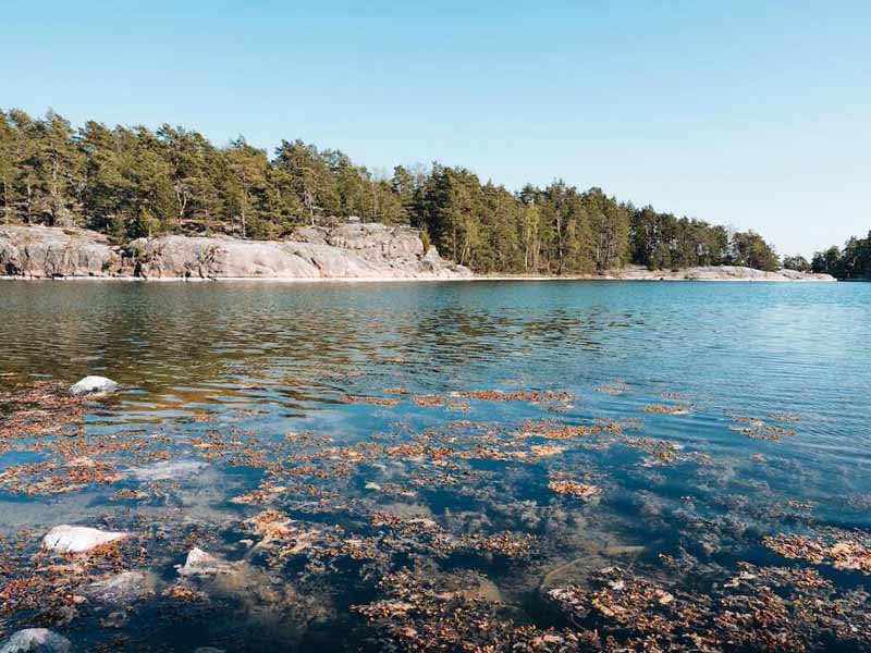 原子熒光法檢測水中汞的步驟