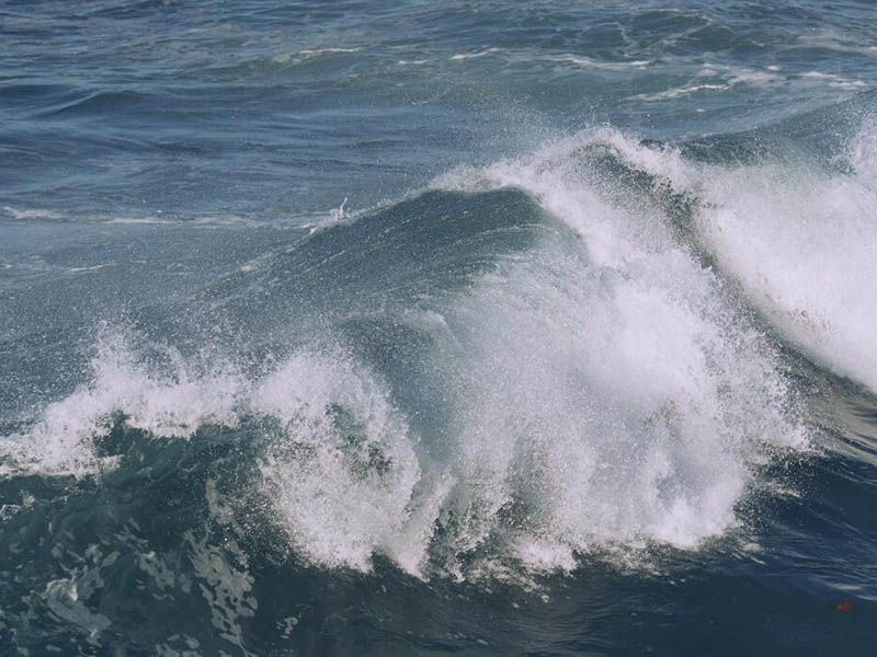 游泳池水質(zhì)檢測(cè)的重要指標(biāo)