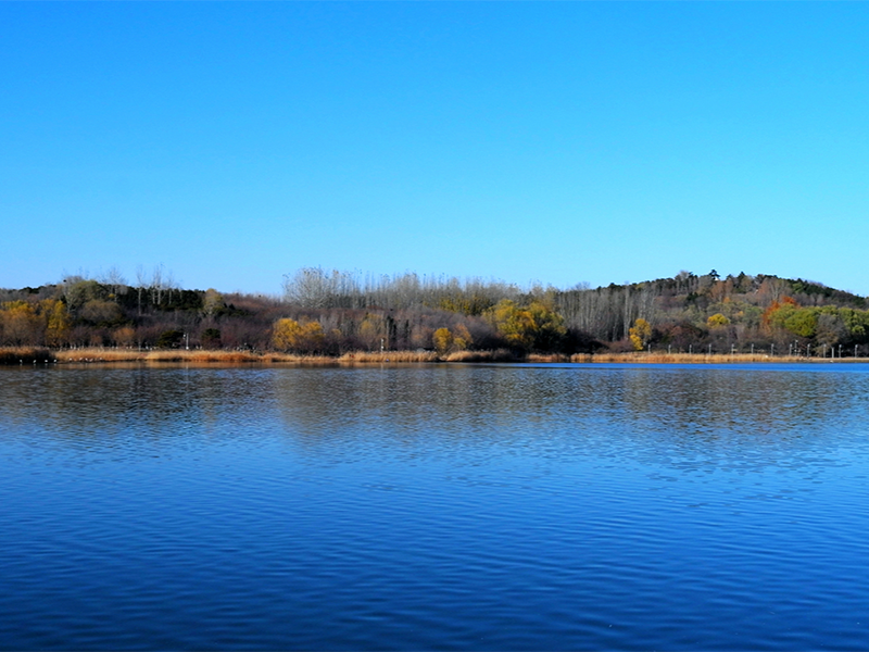 【匯總】自來(lái)水消毒方法及優(yōu)缺點(diǎn)