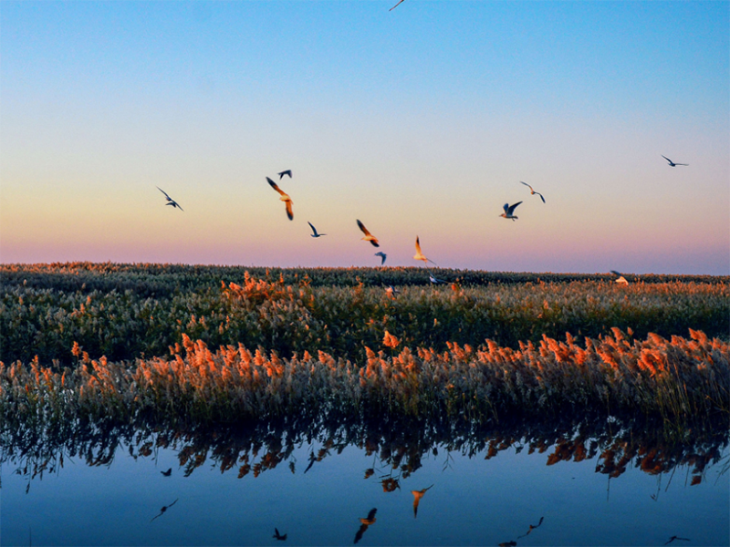 COD測(cè)定儀工作原理
