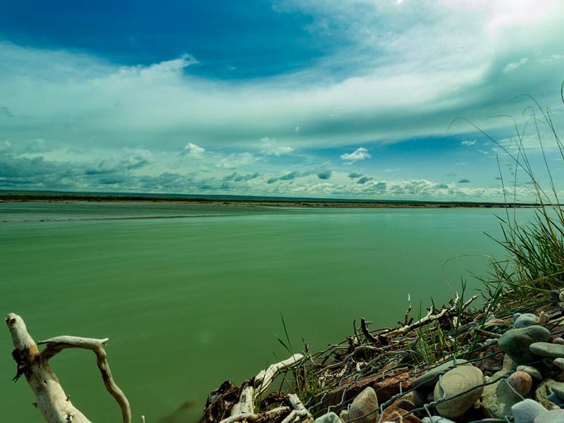 水體葉綠素a測定有什么意義