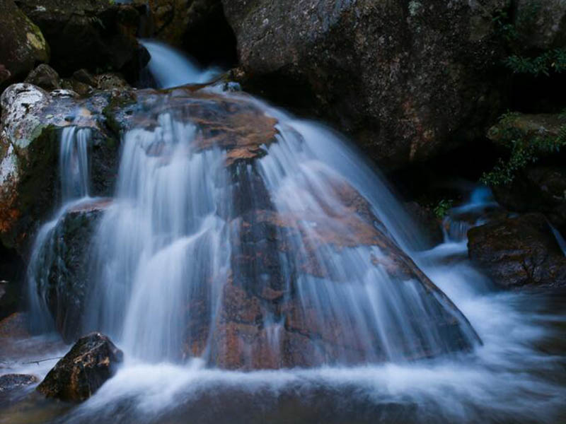 水中油污染現(xiàn)狀及危害