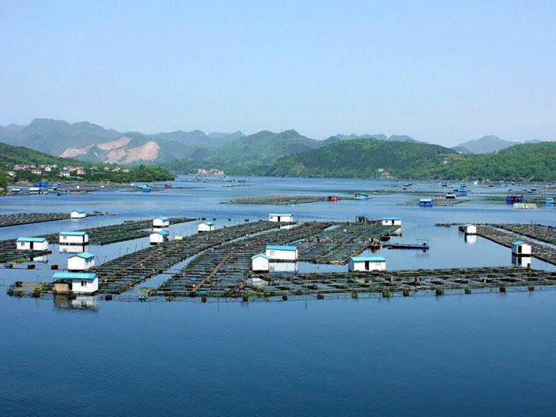 如何確保溶解氧檢測儀的準(zhǔn)確性