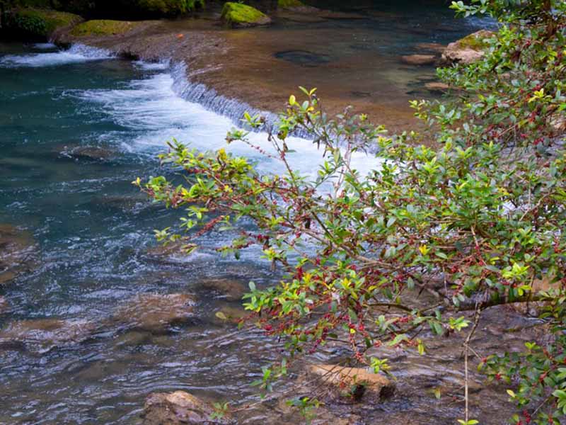 手持式COD檢測(cè)儀使用方法