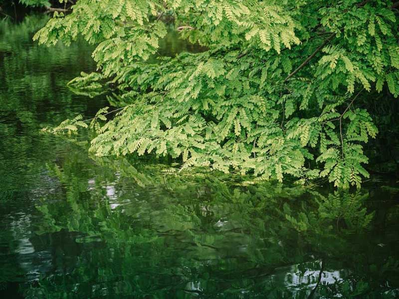 氨氮在線監(jiān)測儀多少錢一臺