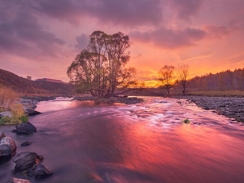 溶解氧在線分析儀原理